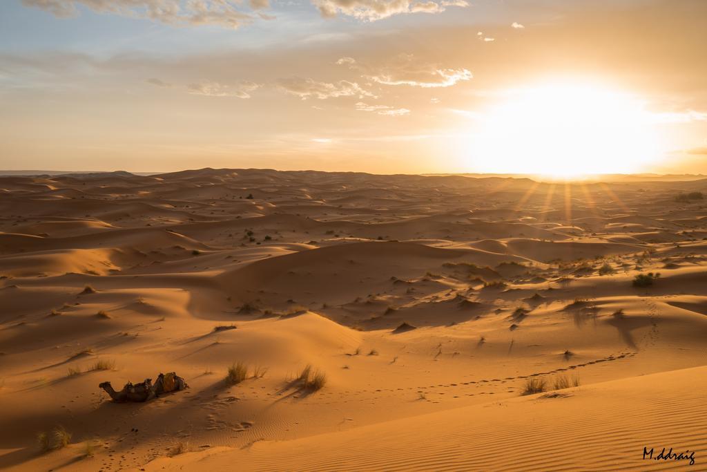 Desert Luxury Camp Morocco Merzuga Kültér fotó